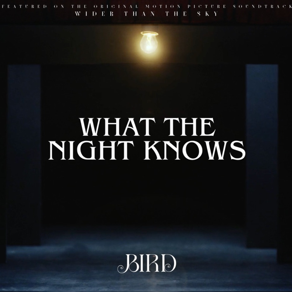 1000x1000-what-the-night-knows