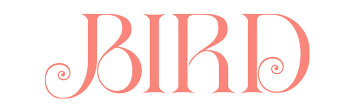 bird-logo-salmon-standard-mobile