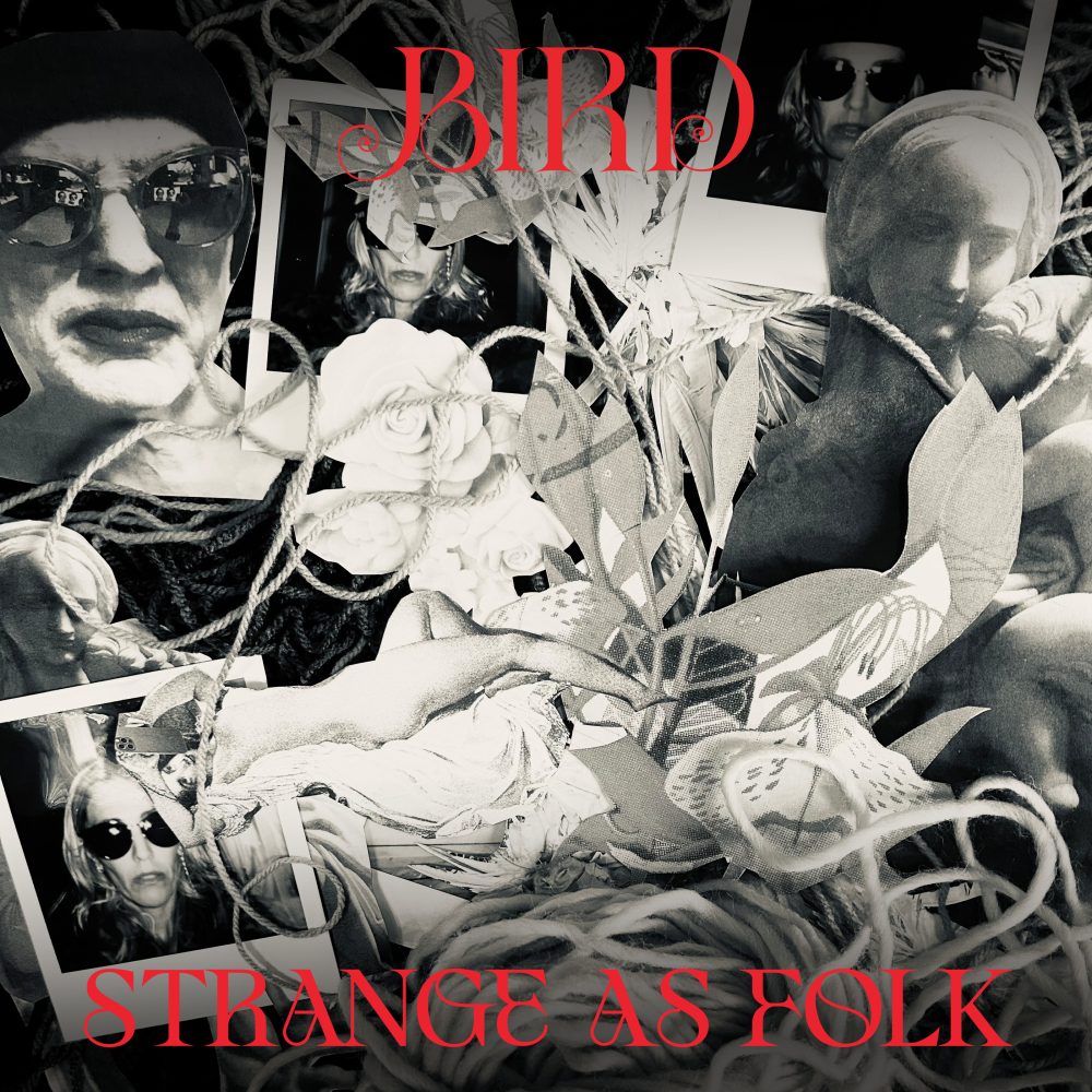 bird-strange-as-folk-ep-packshot-2800x2800
