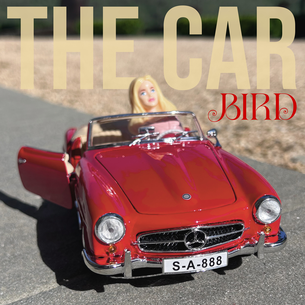 bird-the-car-1000x1000-fnl