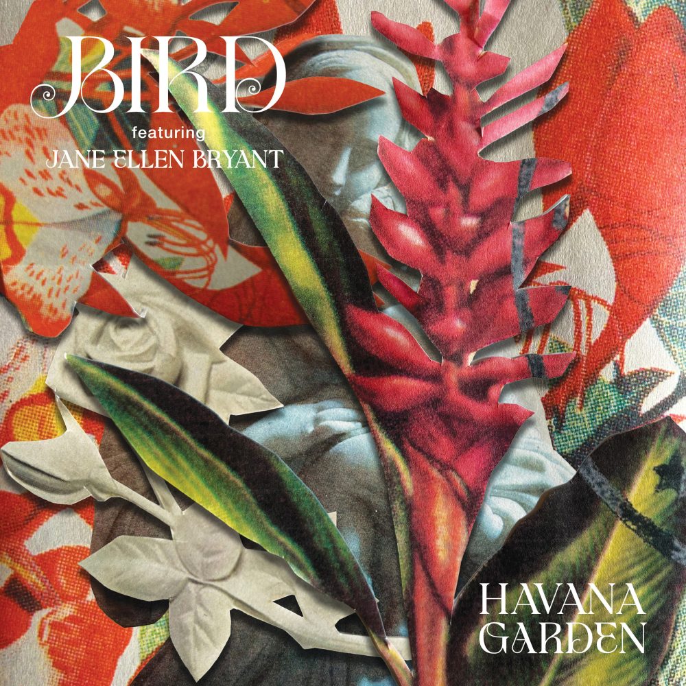 havana-garden-packshot-2800x2800